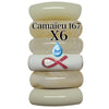 Camaieu 167- Lot mixte de 6 tubes incurvés 12MM - RUBAN